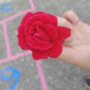 Meet your Posher, 2020 robyn